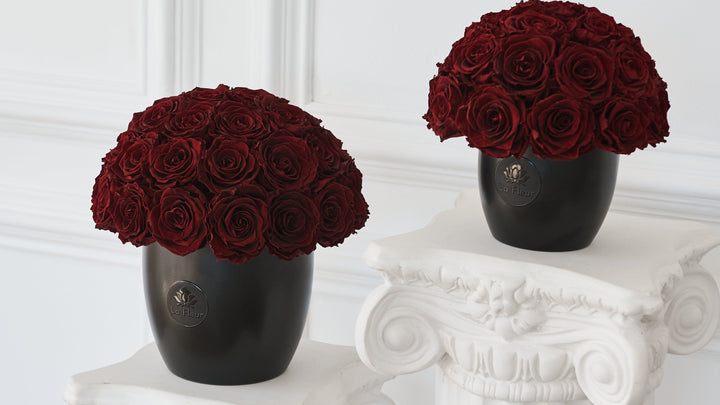 Noir Super Petite Dôme by La Fleur Lifetime Flowers
