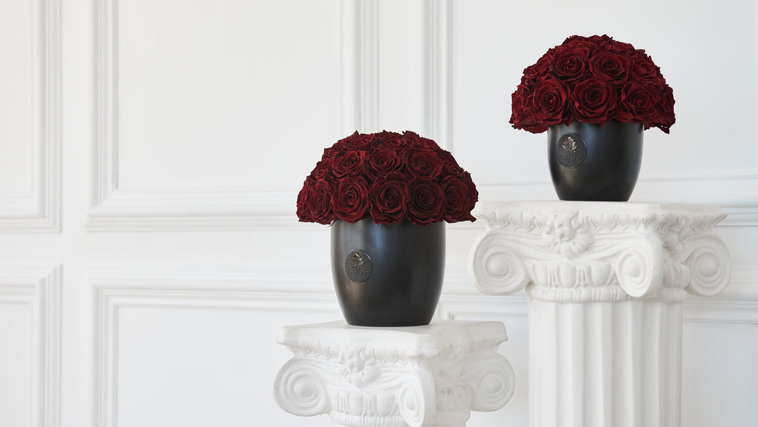 Noir Dôme by La Fleur Lifetime Flowers