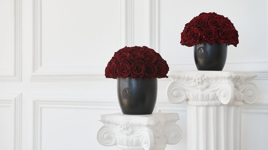 Noir Dôme by La Fleur Lifetime Flowers