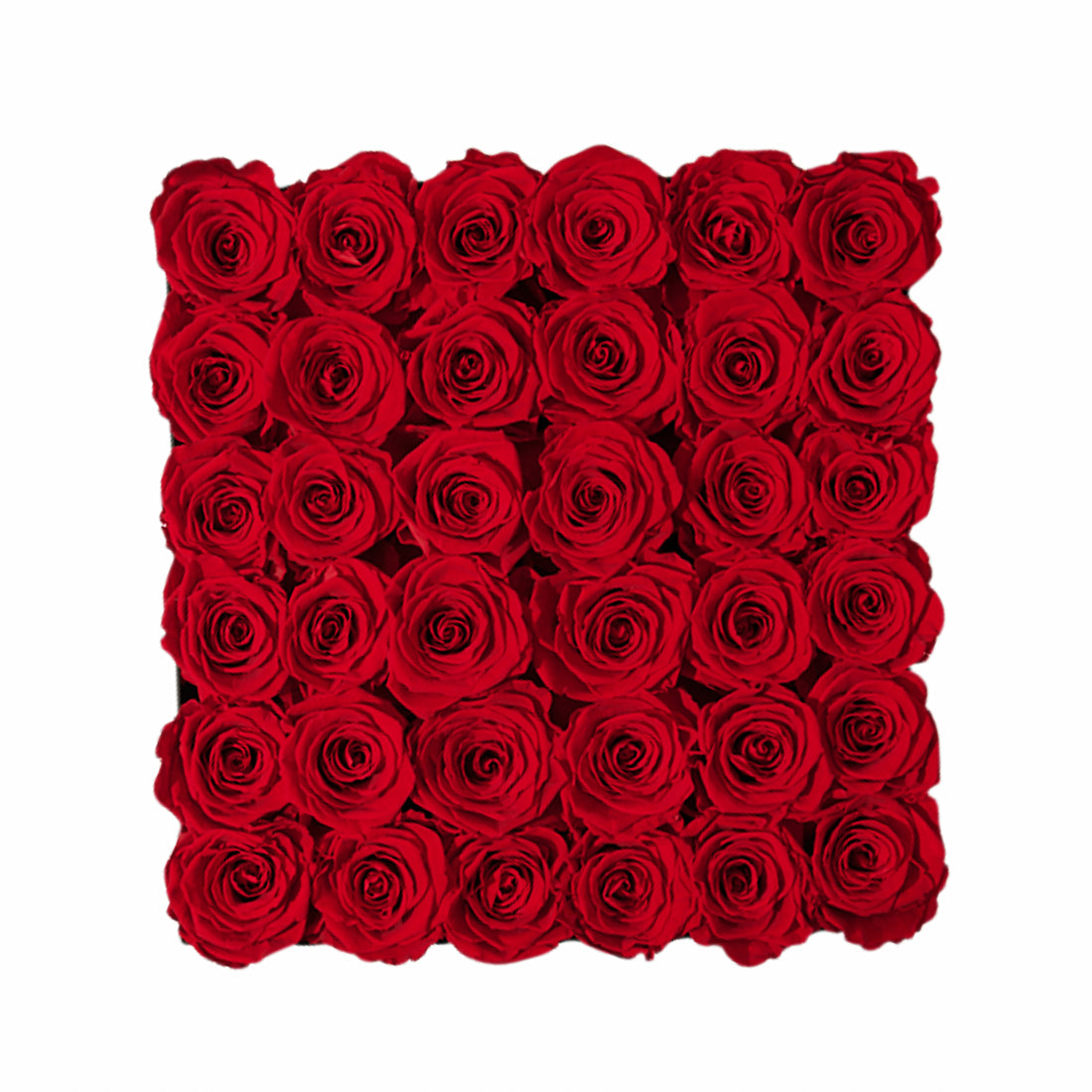 Grande Square by La Fleur Lifetime Flowers