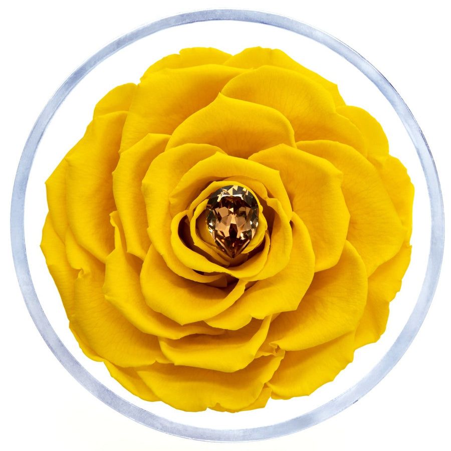 Birthstone Collection - November by La Fleur Lifetime Flowers