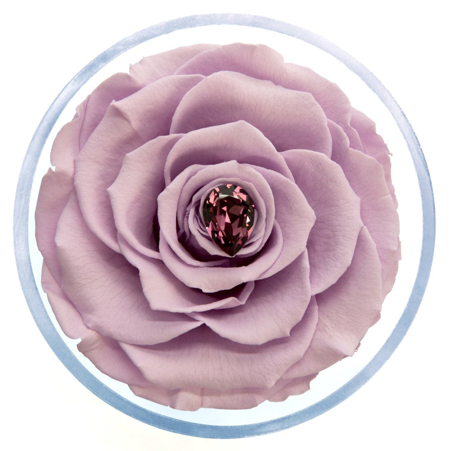 Birthstone Collection - February by La Fleur Lifetime Flowers