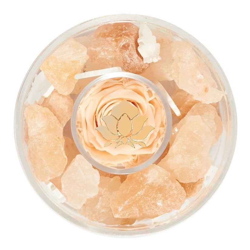 Halite Crystal Diffuser by La Fleur Lifetime Flowers
