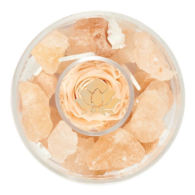 Halite Crystal Diffuser by La Fleur Lifetime Flowers