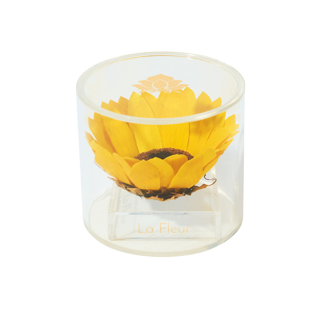 Sunflower Single by La Fleur Lifetime Flowers