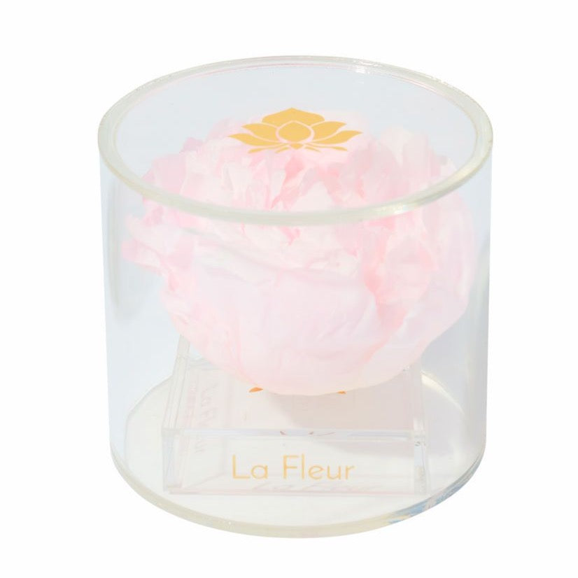 Peony Single by La Fleur Lifetime Flowers