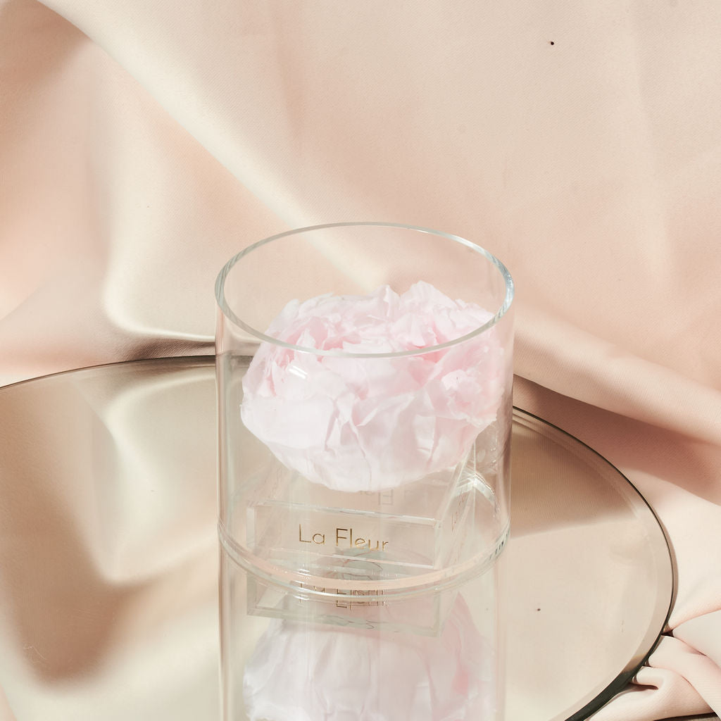 Peony Single by La Fleur Lifetime Flowers