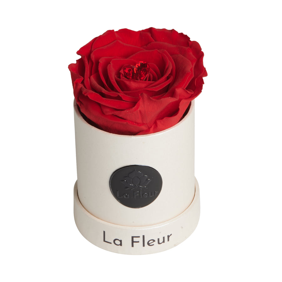 Radiance Mini by La Fleur Lifetime Flowers