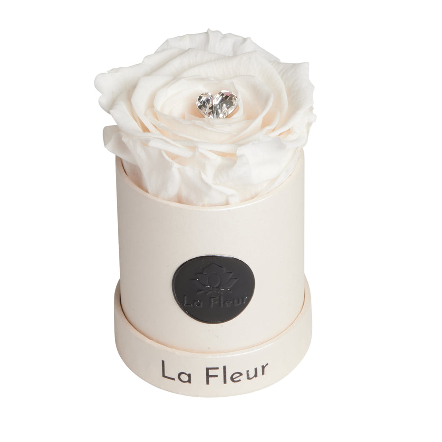 Radiance Mini by La Fleur Lifetime Flowers