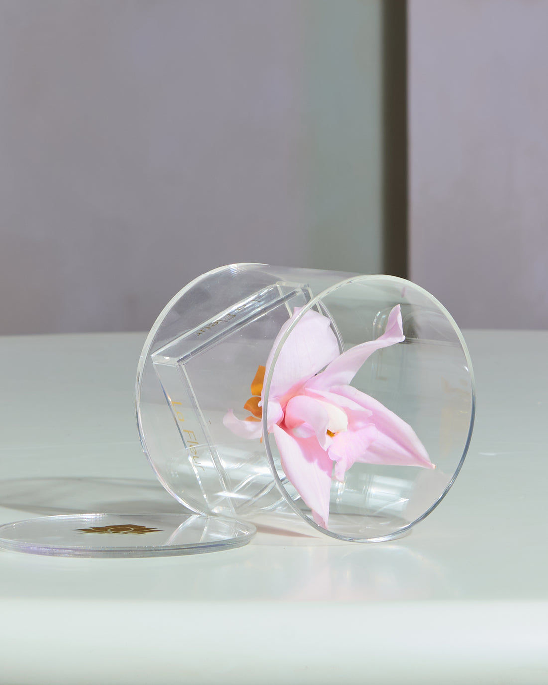 Orchid Single by La Fleur Lifetime Flowers
