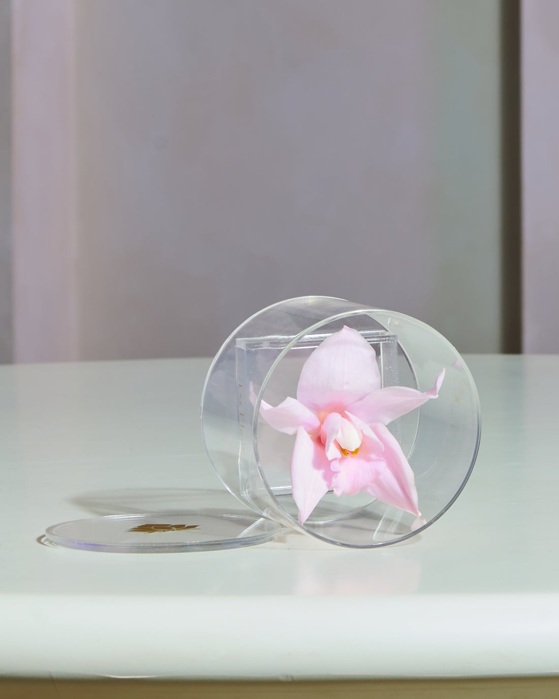Orchid Single by La Fleur Lifetime Flowers