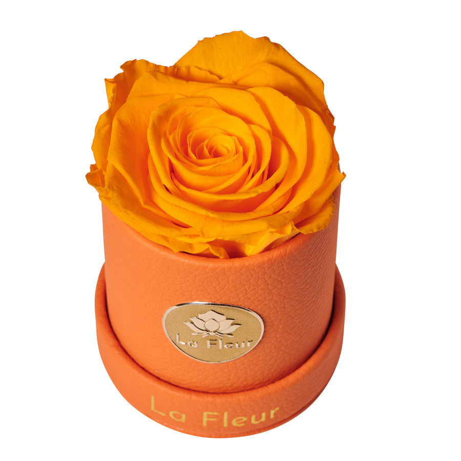 Leather Mini by La Fleur Lifetime Flowers