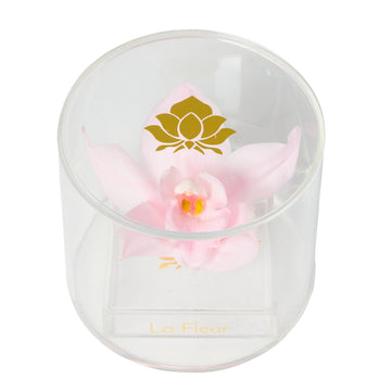 Orchid Single by La Fleur Lifetime Flowers