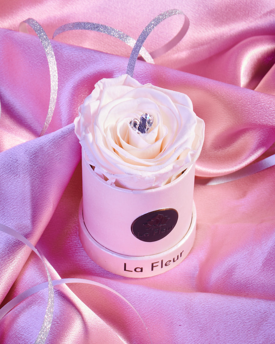 Radiance Mini by La Fleur Lifetime Flowers