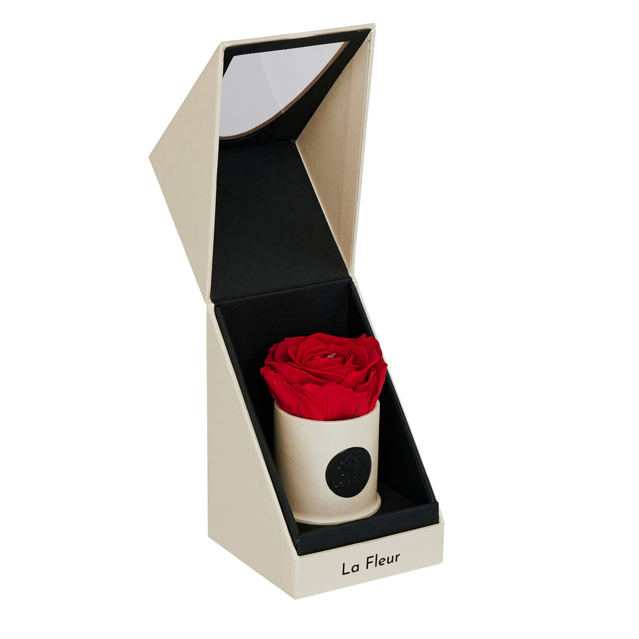 Radiance Mini by La Fleur Lifetime Flowers