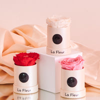 Radiance Gift Set by La Fleur Lifetime Flowers