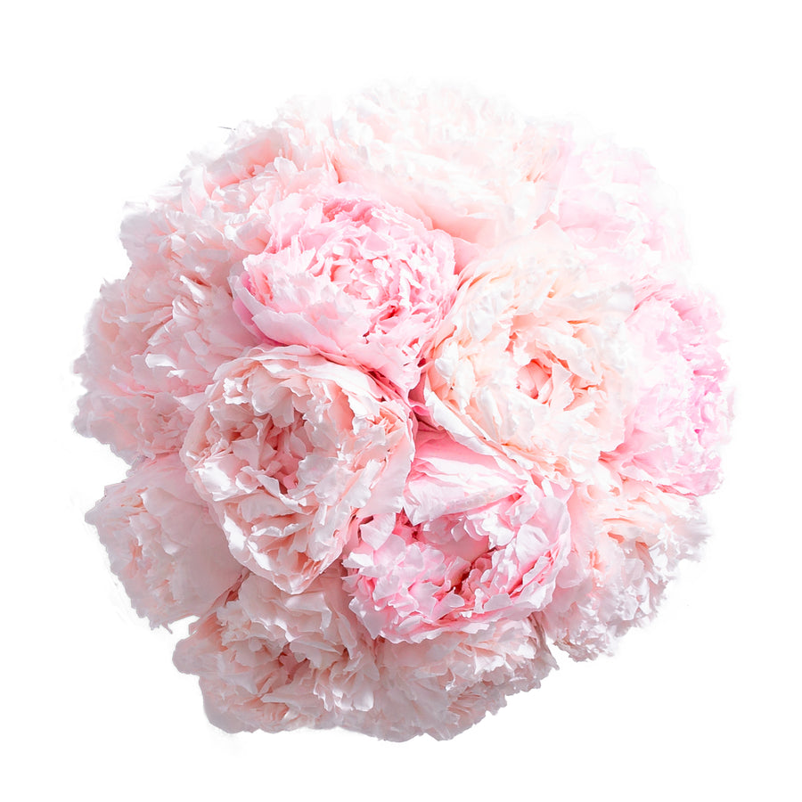 Peony Dome by La Fleur Lifetime Flowers