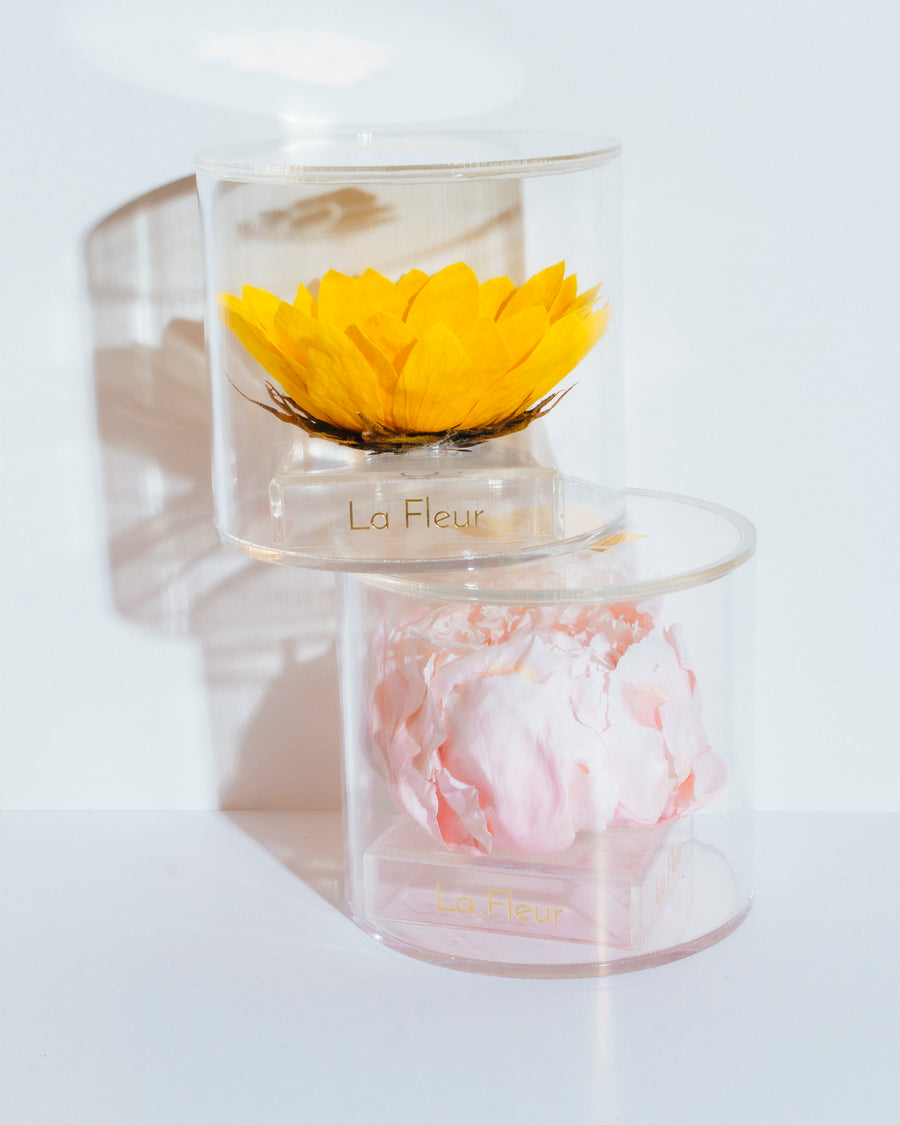 Sunflower Single by La Fleur Lifetime Flowers