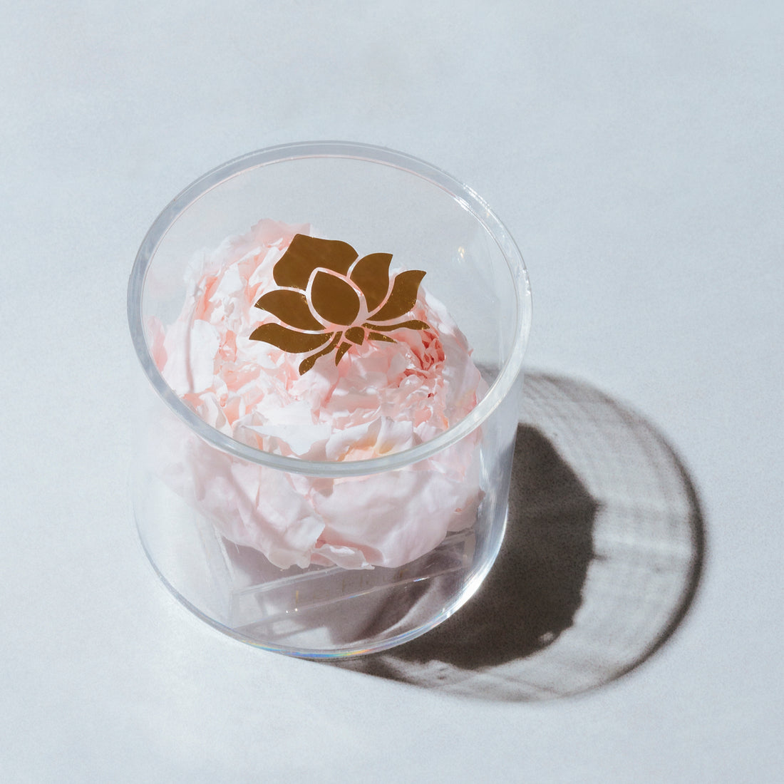 Peony Single by La Fleur Lifetime Flowers