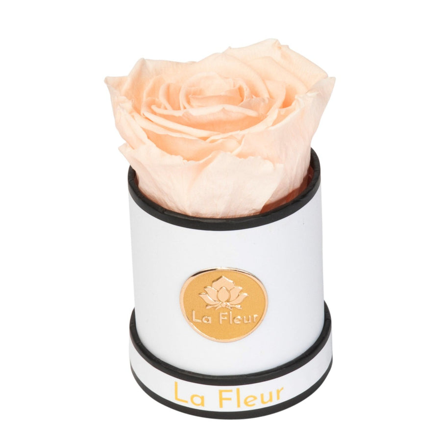 Mini by La Fleur Lifetime Flowers