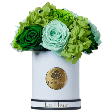 Jardin Super Petite Dome - Green by La Fleur Lifetime Flowers