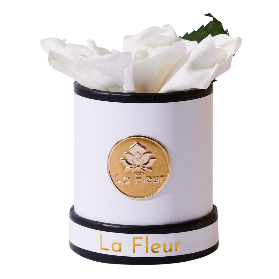 Gardenia Mini by La Fleur Lifetime Flowers