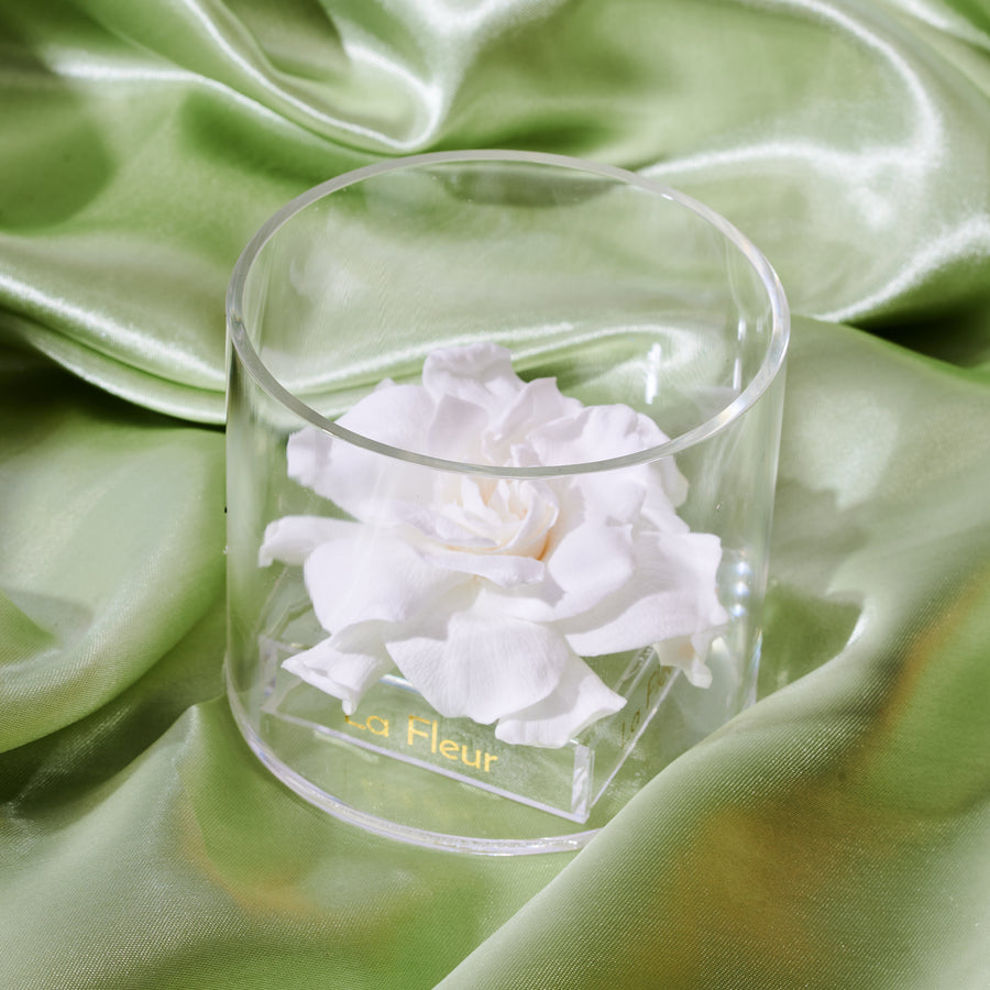 Gardenia Single by La Fleur Lifetime Flowers