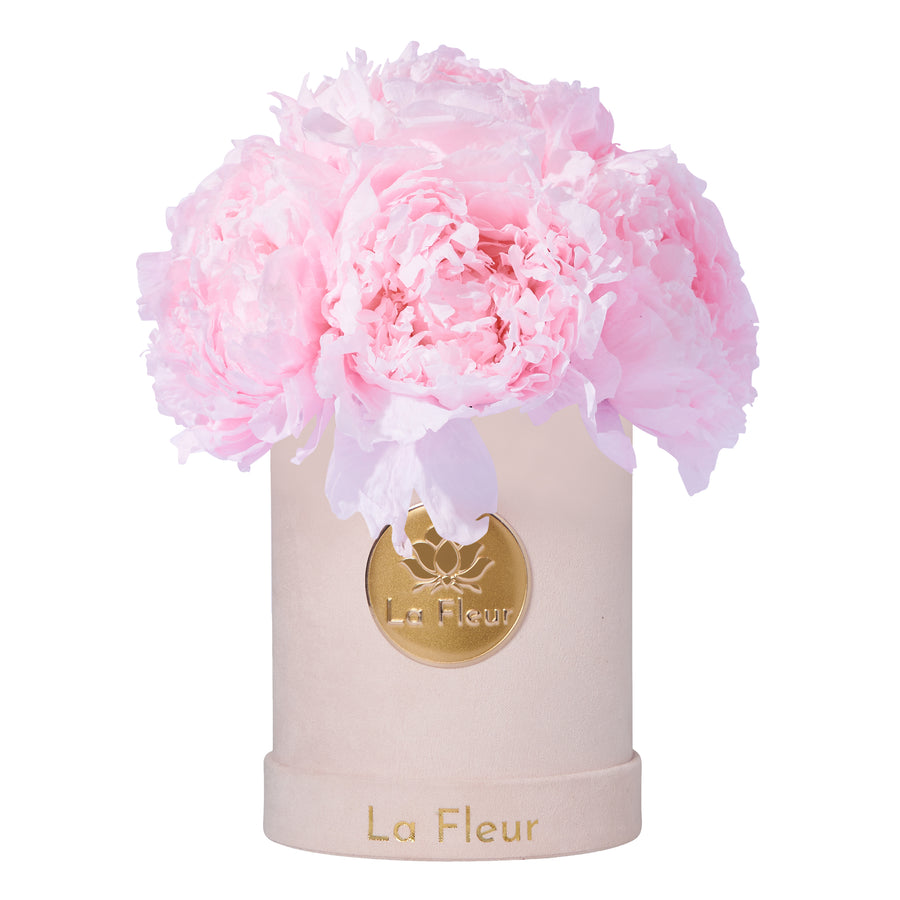 Peony Super Petit Dome by La Fleur Lifetime Flowers