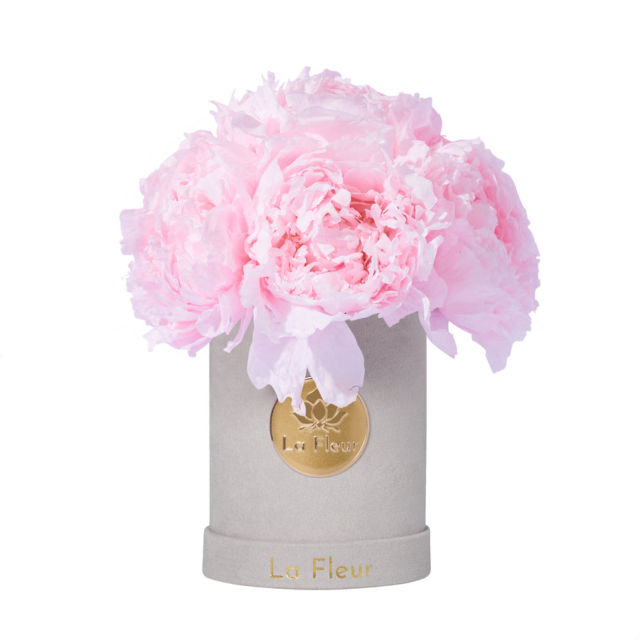 Peony Super Petit Dome by La Fleur Lifetime Flowers