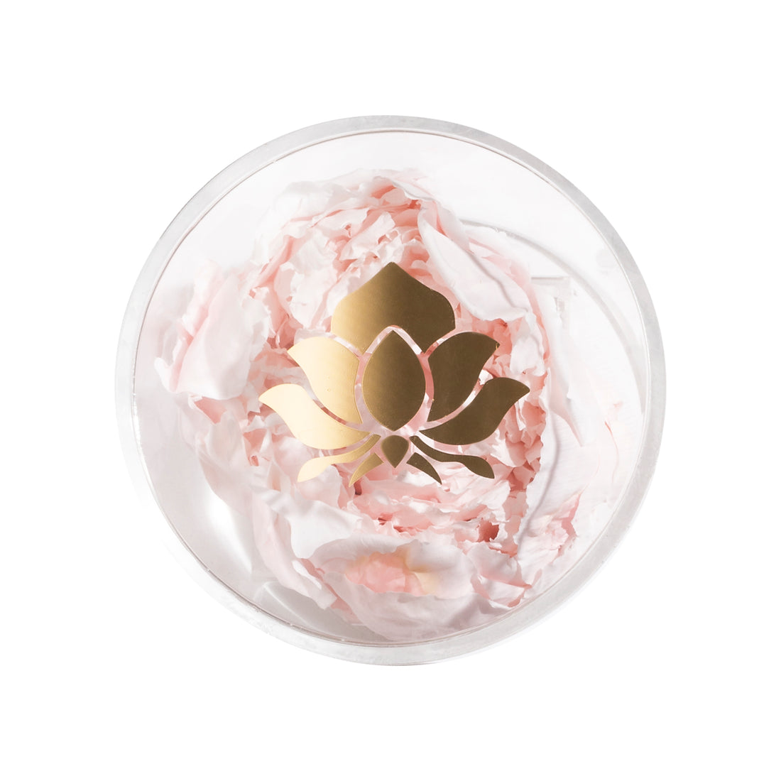 Peony Single by La Fleur Lifetime Flowers