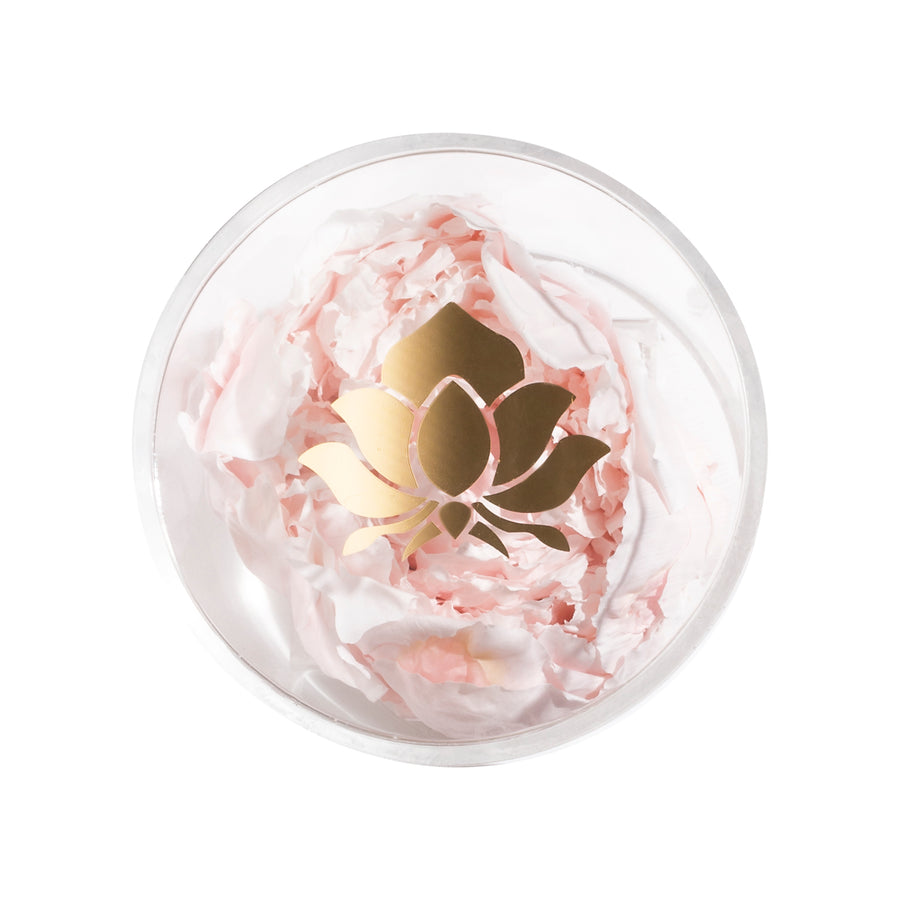 Peony Single by La Fleur Lifetime Flowers