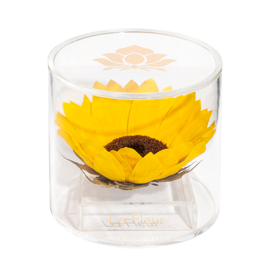 Sunflower Single by La Fleur Lifetime Flowers