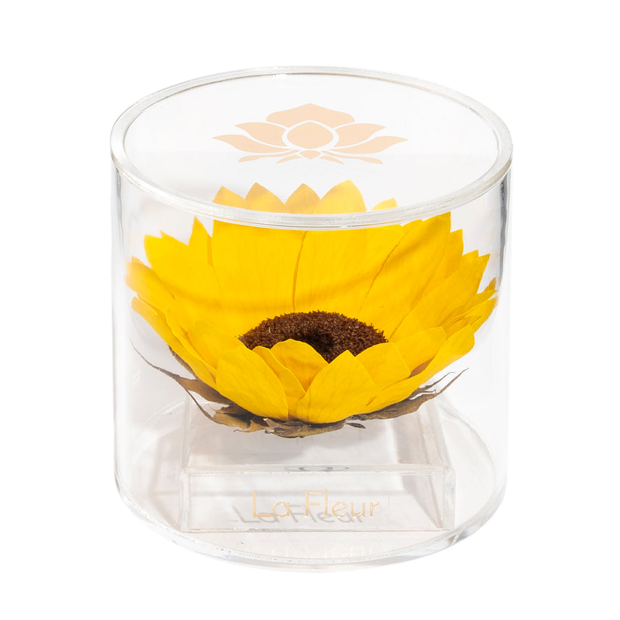 Sunflower Single by La Fleur Lifetime Flowers