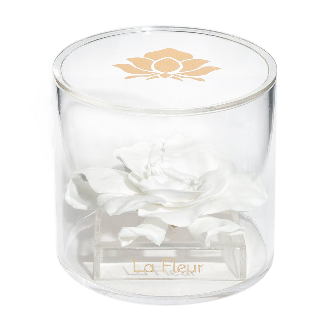 Gardenia Single by La Fleur Lifetime Flowers