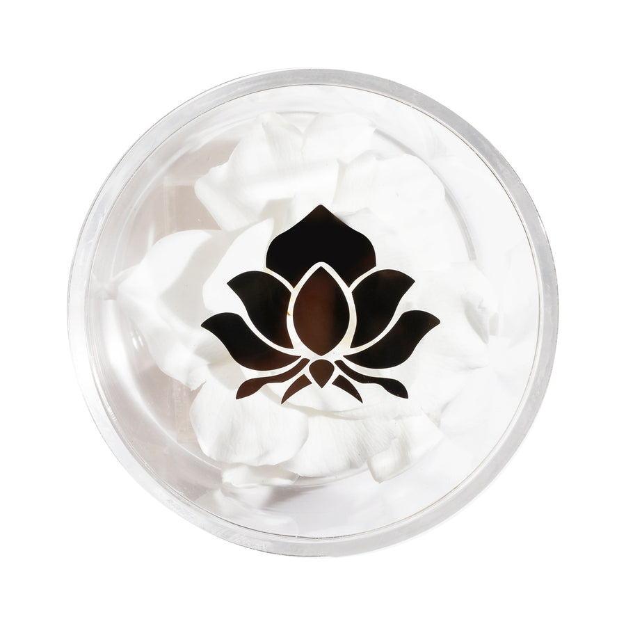 Gardenia Single by La Fleur Lifetime Flowers