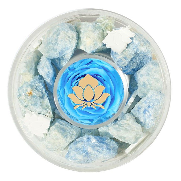 Celestite Crystal Diffuser by La Fleur Lifetime Flowers