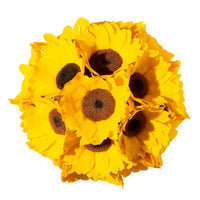 Sunflower Dome by La Fleur Lifetime Flowers