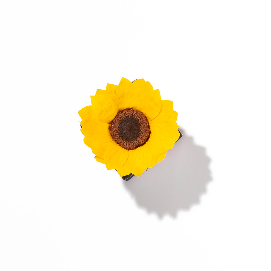 Sunflower Mini by La Fleur Lifetime Flowers